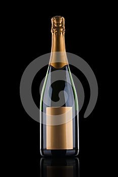 Luxury champagne bottle