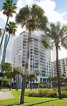 Luxury Condo Tower Sarasota Florida