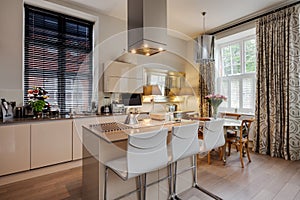Luxury contemporary modern kitchen
