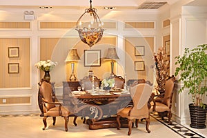 Luxury dining room appliance home fitment furniture fitting photo