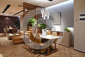 luxury  dining room living room  modern home decoration