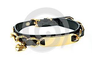 Luxury dog collar