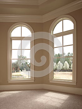 Luxury Double Arch Window