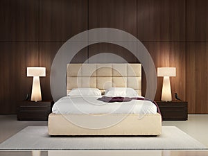 Luxury elegant bedroom