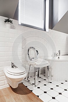 Luxury and elegant toilet