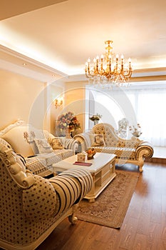 Luxury expensive living room interior