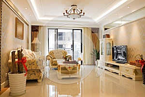 The luxury expensive living room interior