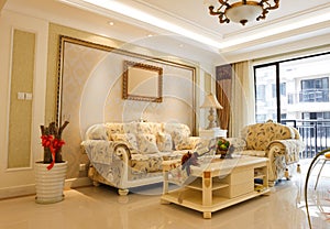 Luxury expensive living room interior