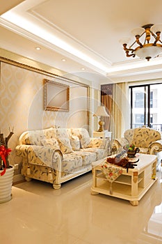 Luxury expensive living room interior