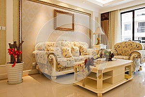 The luxury expensive livingroom interior