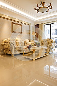 The luxury expensive livingroom interior