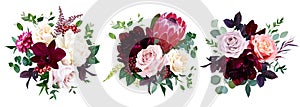 Luxury fall flowers vector bouquets.