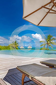 Luxury five stars holiday resort infinity jungle pool on tropical paradise island. sunny weather, palm trees blue sea