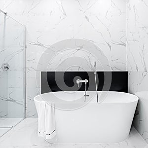 Luxury freestanding bathtub photo