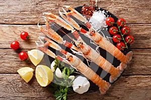 Luxury fresh raw langoustine, scampi with ingredients close-up o