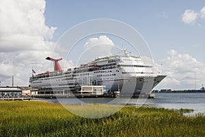 Luxury Fun Ship Docked Near Wetlands