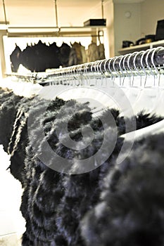 Luxury fur coats hanging on rack