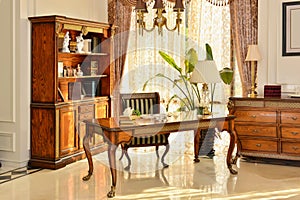 Luxury furniture in reading room