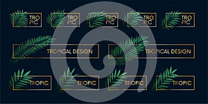 Luxury golden frames with tropical plants and palm branches, vector elements with place for text