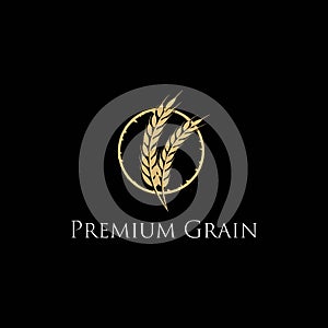 Luxury Golden Grain Wheat Rice Logo Design Vector
