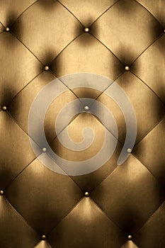 Luxury golden leather