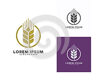 Luxury Grain wheat logo concept, Agriculture wheat Logo Template vector icon