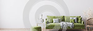 Luxury green living room design, green sofa on empty wall mockup, panorama