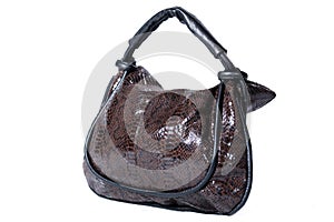 Luxury Hand Bag / Purse