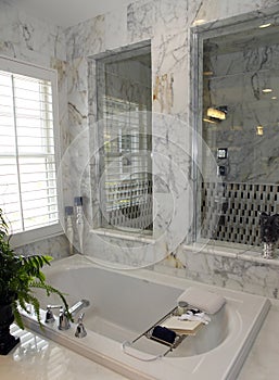 Luxury home bathroom