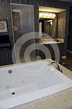 Luxury home bathroom tub