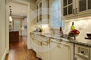 Luxury Home Butler's Pantry