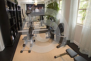 Luxury home gym.