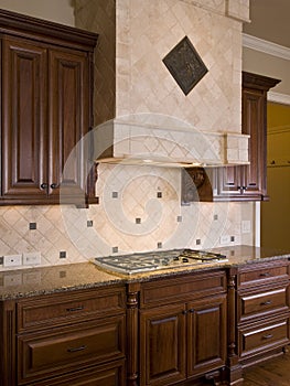 Luxury Home Interior Burner Vent Hood