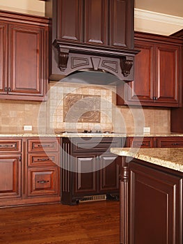 Luxury Home Kitchen two tone cabinets