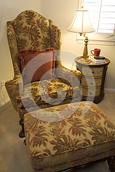 Luxury home lounge chair.