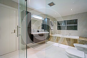 Luxury home washroom