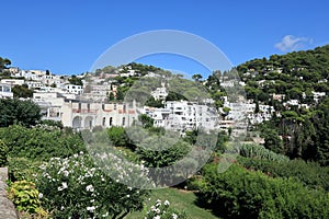 Luxury Homes on Steep Hillsides of Capri photo