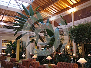 Luxury hotel interior lobby with plants and lamps