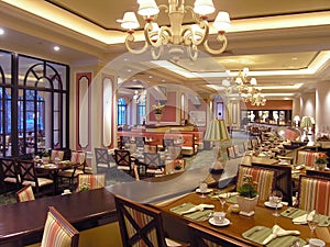 Luxury hotel restaurant 3