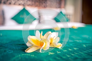 Luxury hotel room interior. Bed decorated with tropical flowers before guest arrival