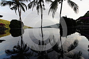 Luxury hotel swimming pool with palms