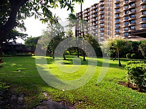 Luxury hotel in tropical setting