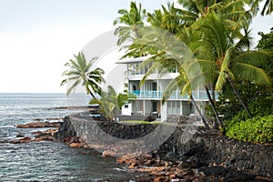 Luxury hotel on untouched volcano beach with palms trees and ocean in background