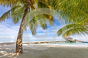 Luxury hotel with water villas wooden pier bridge and palm tree leaves over white sand, close to blue sea, seascape