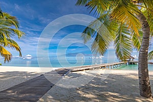 Luxury hotel with water villas wooden pier bridge and palm tree leaves over white sand, close to blue sea, seascape