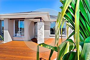 Luxury house with a close up of a tree in the blue sky background