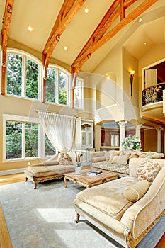 Luxury house interior. Living room