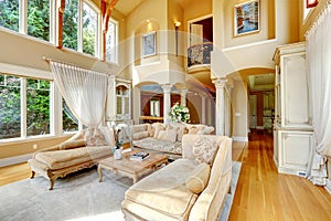 Luxury house interior. Living room