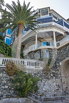 Exotic Villa Palmtree