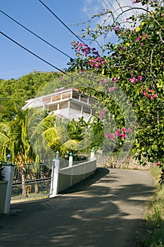 Luxury house on road with flowers bequia